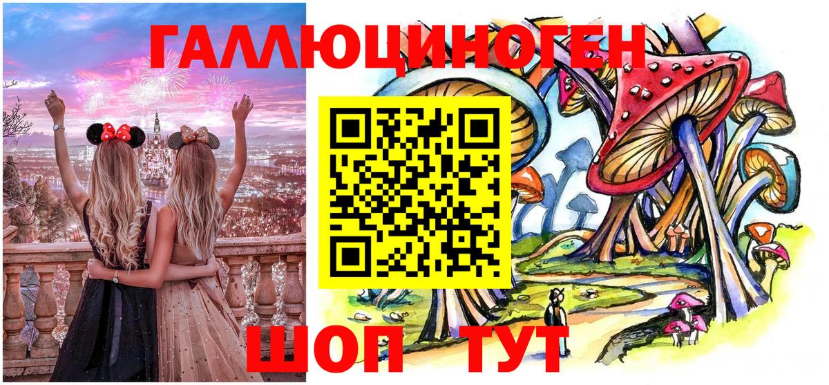 Грозный  Галлюциногенные грибы Psilocybine cubensis  Вход с VPN 